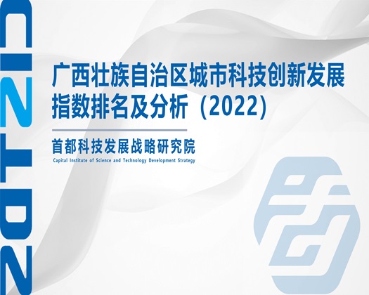 WWW日逼com【成果发布】广西壮族自治区城市科技创新发展指数排名及分析（2022）